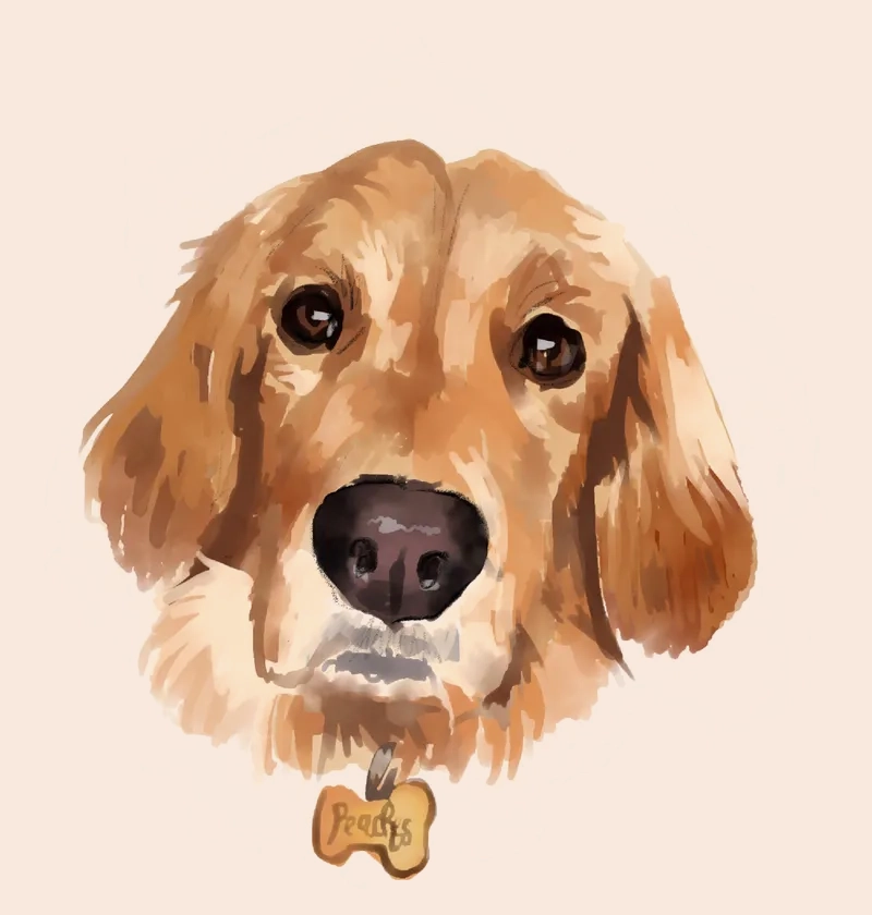 Dog painting
