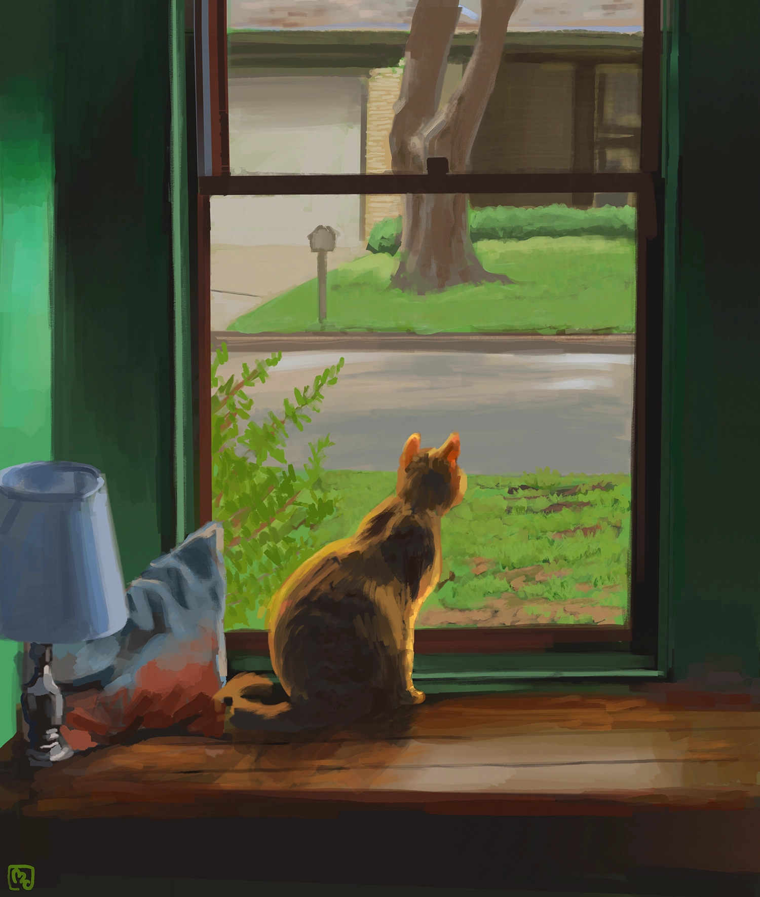 Cat looking out the window